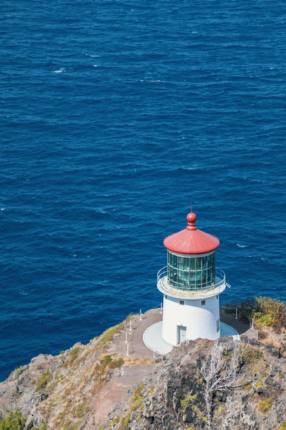 20180729152030_400A4702